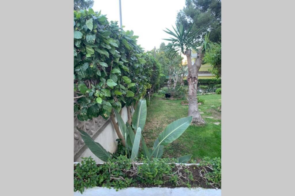 Apartamento La Dorada 托雷莫利诺斯 外观 照片